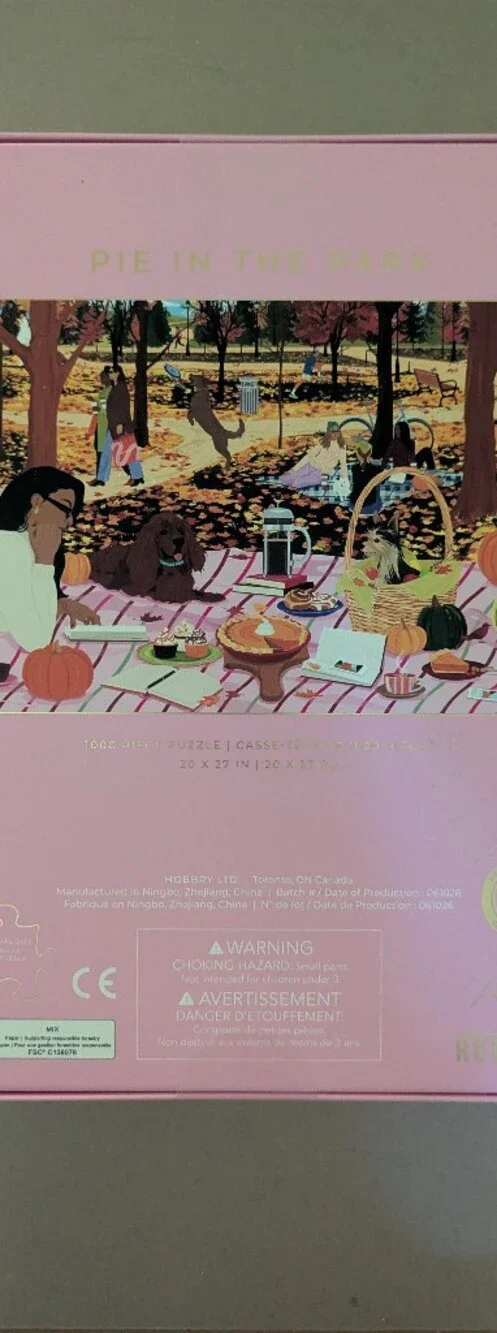 NEW - 1000 PIECE HOBBRY PUZZLE - PIE IN THE PARK